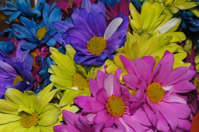 Flowergift_quniceanos