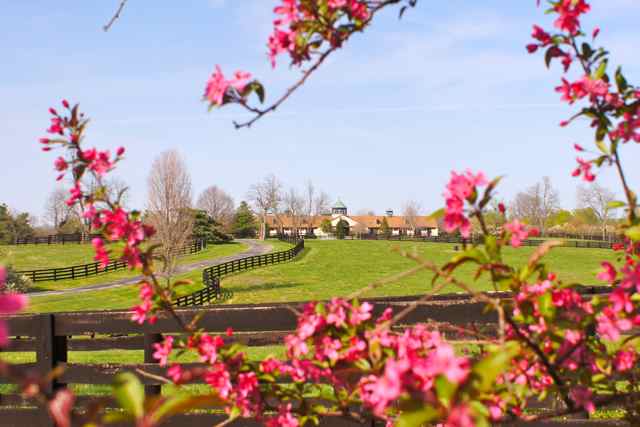 Dsc05266_-_version_2